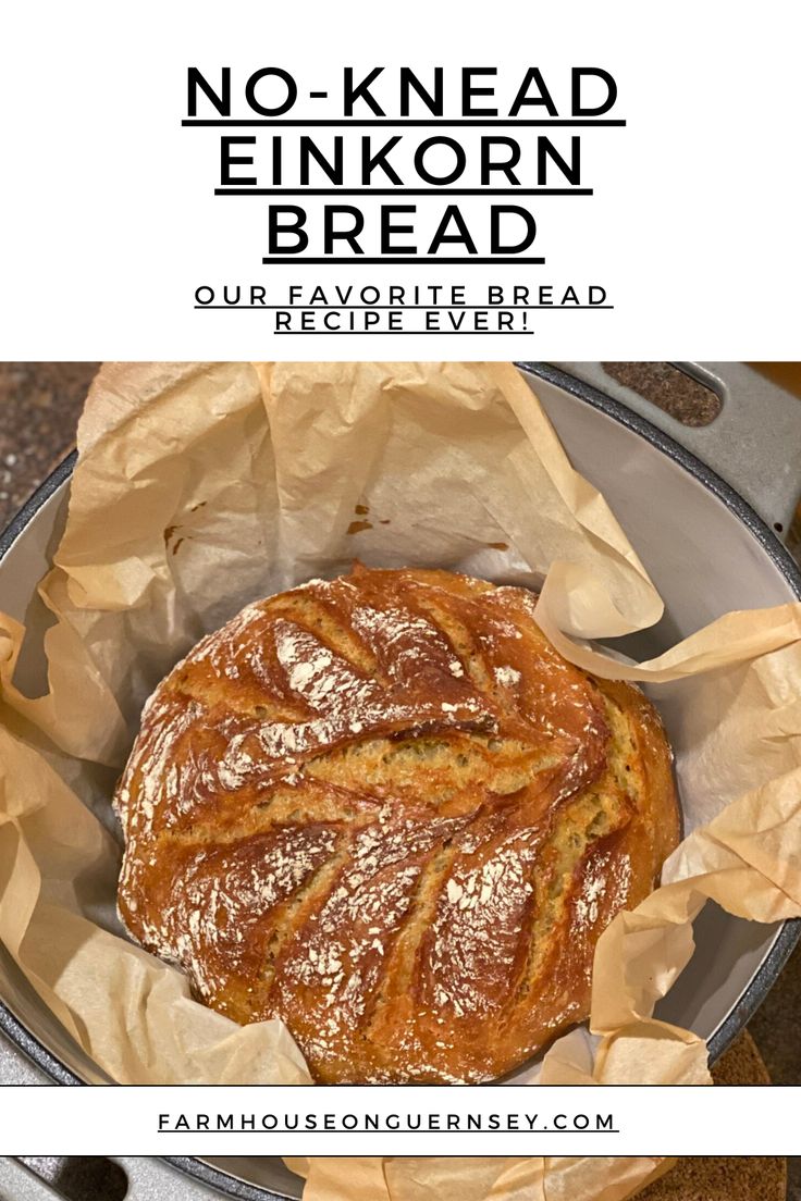 Why I Use Einkorn Wheat for bread baking artisan no-knead loaf